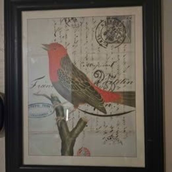 Set of 2 Framed Bird Pictures Prints 13" X 15" - Picture 7 of 8